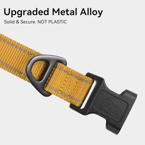 Joytale Reflective Dog Collar, Adjustable Neoprene Padded, Khaki M