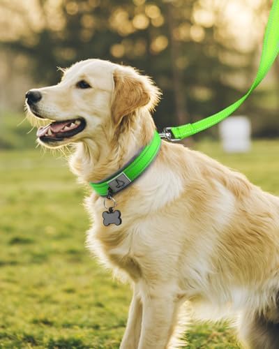 Joytale Reflective Dog Collar for Large Dogs with Wide Padding, Green