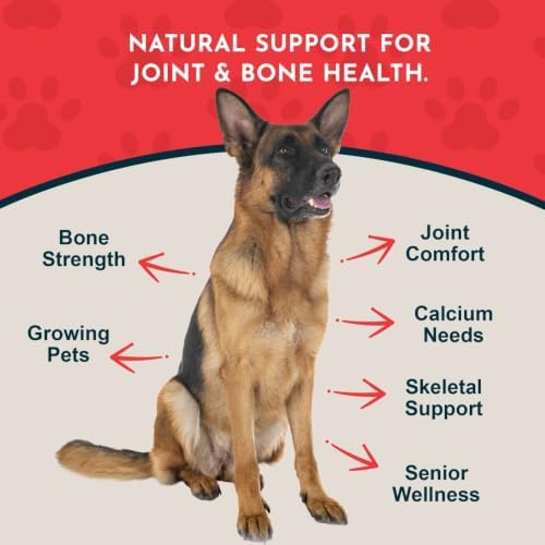 Animal Essentials Sea-Cal - Pure Seaweed Calcium Powder for Dogs with Magnesium, Joint Supplement for Dogs & Cats for Healthy Bones & Teeth, Joint Health, Vegan Icelandic Seaweed Calcium - 8.5 oz