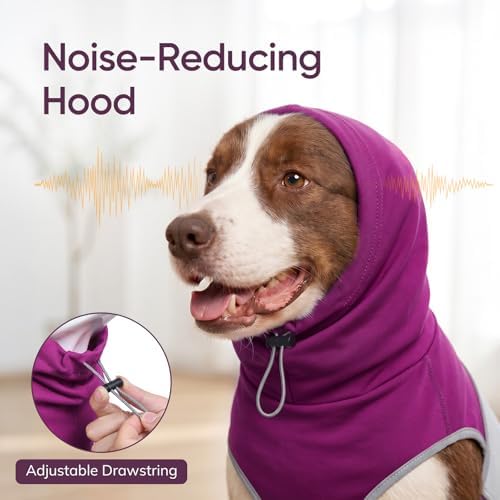 Dog Thunder Vest, L, Roma fabric, Purple