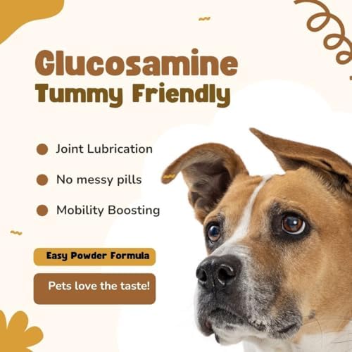 Nature's Pure Edge Original Extra Strength Glucosamine Dog and Cat Supplement Flavored with Real Chicken. Treats Painful and Damaged Joints. Large 115 gram jar.
