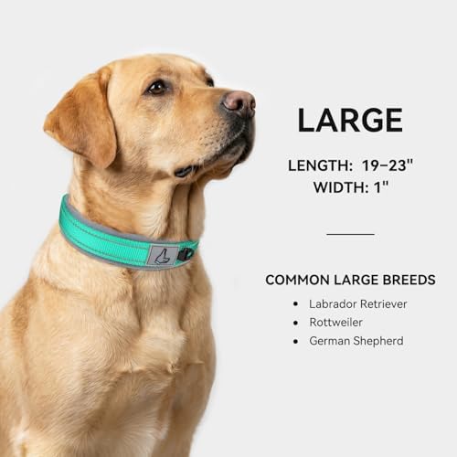 Joytale Reflective Dog Collar for Large Dogs with Wide Padding, Teal