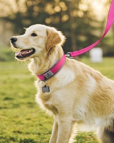 Joytale Reflective Dog Collar for Large Dogs with Wide Padding, Hotpink