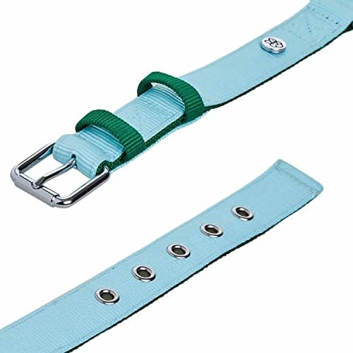 Blueberry Pet Iconic Color-Block Adjustable Dog Collar with Metal Buckle, Sky Blue and Dark Green, Neck 13-16.5", for Medium Breed