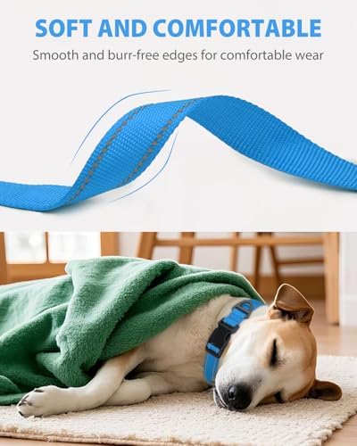 Joytale Feather-Light Dog Collar for Extra Large Dogs, 1 1/4", Sky Blue