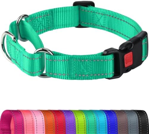 Joytale Martingale Collar for Dogs, Escape Proof No Pull, Teal, XS