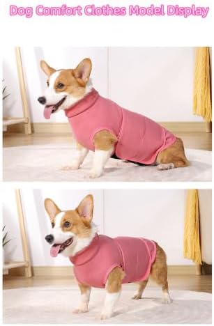 Dog Anxiety Calming Thunder Vest, Large