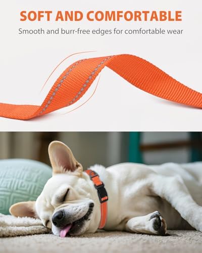 Joytale Dog Collar (10-16") and 6FT x 3/4" Wide Dog Leash Set, Reflective and Adjustable Nylon Collar and Padded Handle Leash for Small Dogs, Orange, S