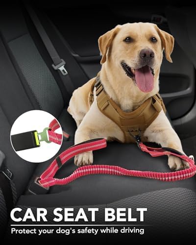 Joytale Tactical Dog Collar(17"-21") and Dog Leash Set, Shock Absorbing Bungee Dog Leash and Adjustable Strong Dog Collar with Handle for Large Dogs(Hotpink, L)