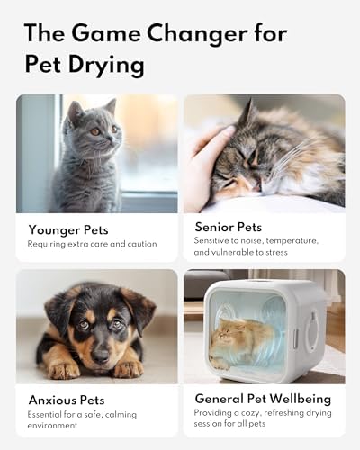 HomeRunPet Automatic Cat Dryer, 40dB Ultra Quiet Pet Dryer Box (Drybo Plus) | Vet-Trusted Safety Design, Patented Fresh Air System, Smart Temperature Control, 360° Even Drying for Cats & Small Dogs, 50L