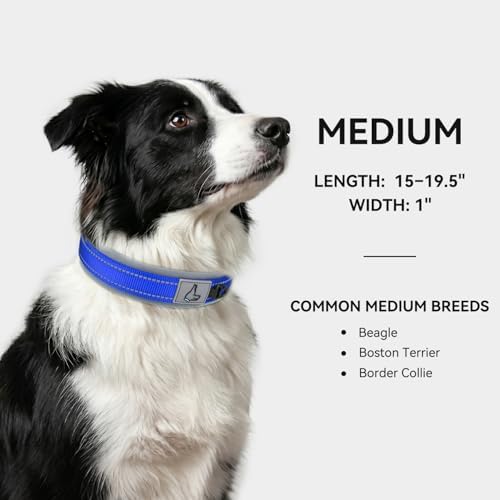 Joytale Reflective Dog Collar for Medium Dogs with Wide Padding, Navy Blue