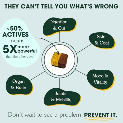 Arterra Longevity Multivitamin for Dogs, Vet-Formulated Soft Chews, 60 Ct