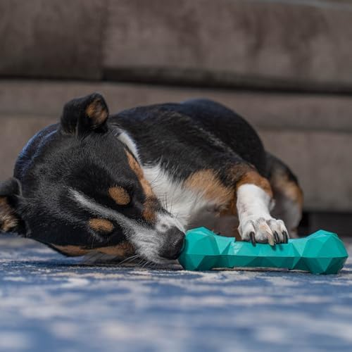 | Modern Dog Chew Toy | Almost Indestructible Dog Toys for Aggressive Chewers | Tough + Durable + Strong Natural Rubber Bone Toy for Small + Large Dogs + Puppy Teething | Boredom Chews