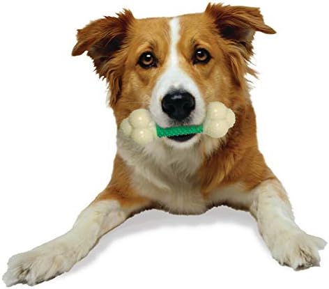 Nylabone Power Chew Double Action Barbell Bone Dog Chew Toy, Medium | Durable dog toy for medium dog breeds up to 35 lbs, teeth-cleaning textures, long lasting, discourages destructive chewing