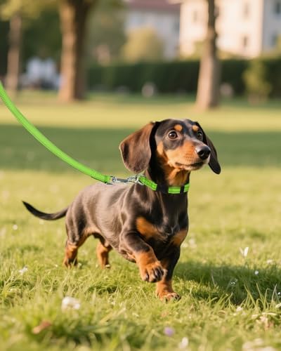 Joytale Feather-Light Puppy Collar for Extra Small Dogs, 3/8", Green