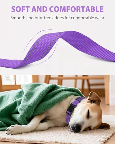 Joytale Feather-Light Dog Collar for Medium & Large Dogs, 1", Purple