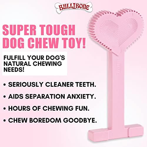 Bullibone Nylon Dog Chew Toy for Aggressive Chewers - Dental Hygiene Bone with Peppermint Flavor, Durable Tough Chew Toys for Large Dogs, Indestructible Dog Bone - 3 Pack