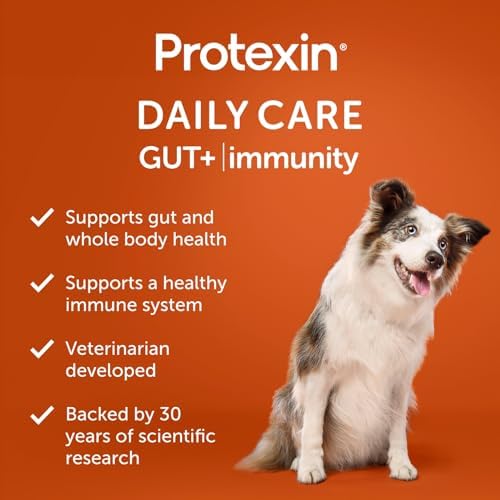 Protexin Daily Care Gut+ Immunity | 60 Dog Chews, Turkey and Cranberry Flavor Dog Supplement | Probiotics for Dogs, Dog Postbiotics