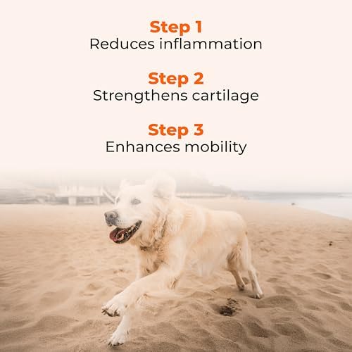 Pawlabs G-Max Joint Support for Dogs - Maximum Strength Hip & Joint Supplement with Glucosamine, Chondroitin, MSM etc - Relieves Arthritis Pain & Hip Dysplasia - Bacon Flavor, 60 Chews