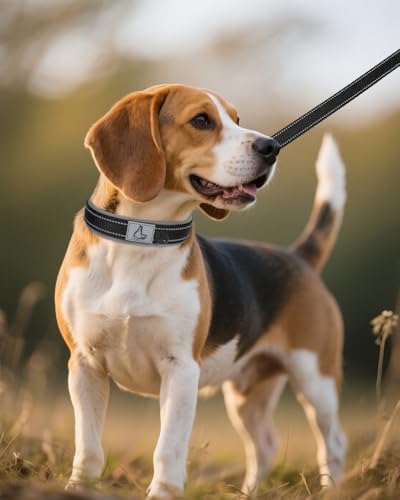 Joytale Reflective Dog Collar for Medium Dogs with Wide Padding, Black