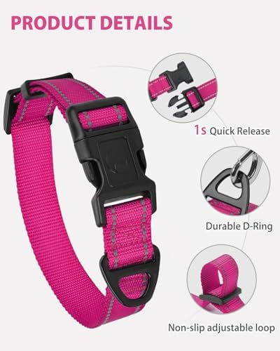 Joytale Feather-Light Dog Collar for Medium & Large Dogs, 1", Hotpink