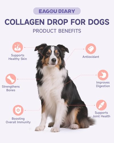 Collagen for Dog Liquid - Support Hip Joint Mobility, Skin Coat, Bone 60ML