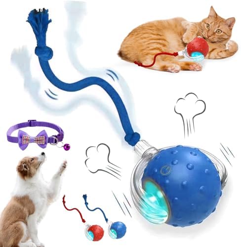 2026 New Dog Toy, Interactive Fast Moving Toys Balls with Birdsong, 360° Smart Automatic Rolling Electric Dog Ball Toy with Rope for Dogs and Cat Indoor Play (Blue)