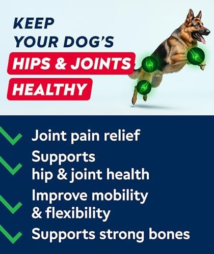 Glucosamine Treats for Dogs - Joint Supplement w/Omega-3 Fish Oil - Chondroitin, MSM - Advanced Mobility Chews - Joint Pain Relief - Hip & Joint Care - Bacon Flavor - 240 Ct - Made in USA