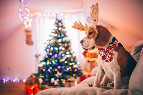 Lionet Paws Christmas Dog Collar with Bowtie, Dog Sailor Bow Collar with Metal Buckle for Dogs and Cats, Adjustable Comfortable Dog Collar Girl Gift, S, Neck 10-16 in
