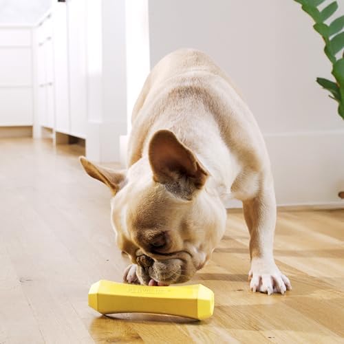 Playology Squeaky Chew Stick - Scented Dog Toy - Medium, Chicken Scent | Rubber Construction, All Natural Scent, Durable Design