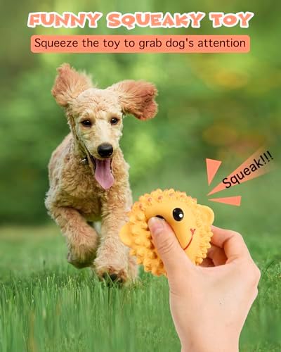 SCHITEC Squeaky Dog Toys, Latex Spiky Animal Balls for Small Medium Dogs | 2 Pack Squeak Dog Toy, Soft Rubber ball, 3” Medium Size, Built-in Squeaker, Teeth Cleaning, Interactive Fetch