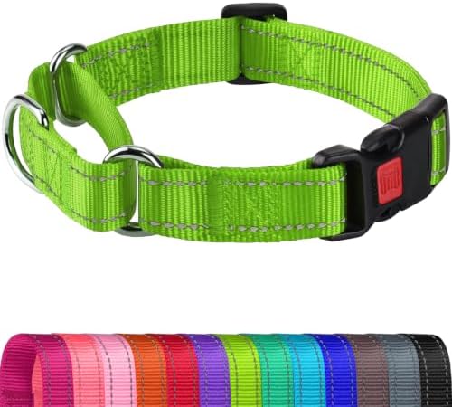 Joytale Martingale Collar for Dogs, Escape Proof No Pull, Green, S