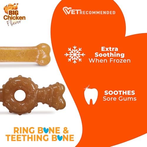 Nylabone Puppy Chew Teething Bone Dog Chew Toys, Chicken Flavor, 2 Count | For medium breed puppies up to 35 lbs, teething toys for puppies, puppy enrichment, puppy teething relief, soothes sore gums