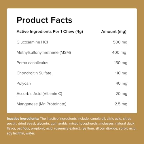Pupstrong™+ Hip & Joint Support Soft Chews for Dogs – Powered by Polycan® Postbiotic – Supports Gut Health, Mobility, Joint Flexibility, Immune Health & Healthy Aging – 120 Chews
