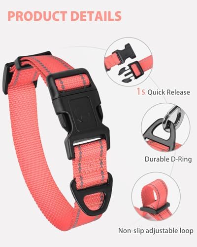 Joytale Feather-Light Dog Collar for Medium & Large Dogs, 1", Neon Pink
