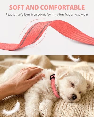 Joytale Feather-Light Dog Collar for Small & Medium Dogs, 3/4", Neon Pink