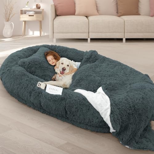 ROOMTEC Human Dog Bed, 71''x45''x12'' Size Fits Adult and Pet Washable Giant People Bed 10 CM Thick Memory Foam Large Oversize Pet Bed with Plump Pillow, Blanket, Strap - Darkgrey