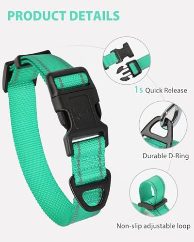 Joytale Feather-Light Dog Collar for Small Dogs & Puppies, 5/8", Turquoise