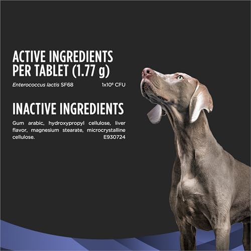 Purina Pro Plan Veterinary Supplements FortiFlora Dog Probiotics Chewable Tablets to Support Digestive and Immune Health and Occasional Diarrhea