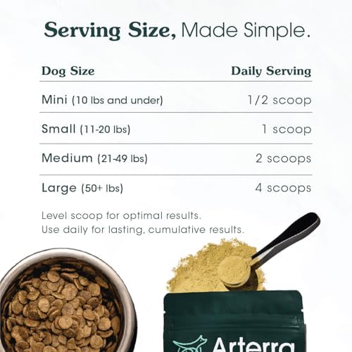 Adult Dog Powder Supplement & Food Topper - 46 Ingredients - 30 Scoops | For Gut, Immune & Brain Health, Daily Longevity Multivitamin for Whole Body Wellness