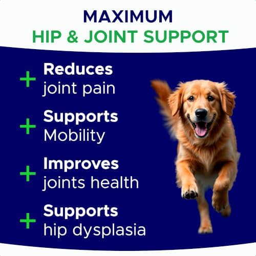 Dog Joint Supplement Large Breed - Glucosamine & Chondroitin Treats for Dogs - Supplement w/Omega-3, MSM - Made in USA - Joint Pain Relief - 240 Mobility Chews