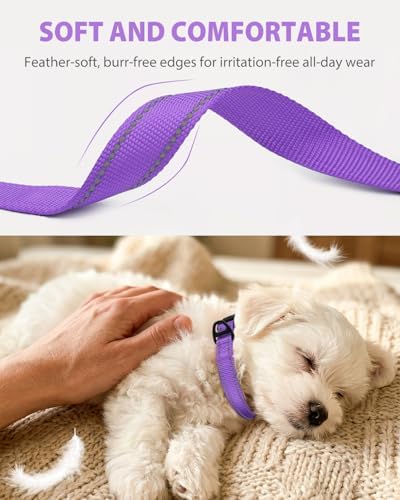 Joytale Feather-Light Dog Collar for Small Dogs & Puppies, 5/8", Purple