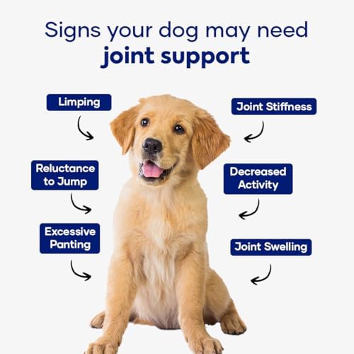 Hip and Joint Supplement for Dogs with Glucosamine Chondroitin MSM and Ashwagandha | Dog Joint Supplement Soft Chews for Mobility and Cartilage Support | Pack of 2