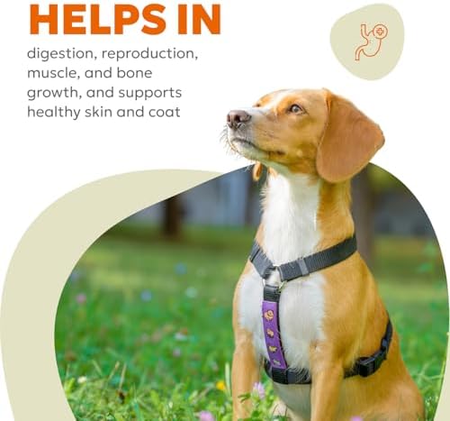 Daily 10-in-1 Dog Wellness Chews – Joint, Gut, Immune, Skin & Coat, Energy & Vitality Support – Glucosamine, Probiotics, Salmon Oil & Turmeric – 60 Soft Chews