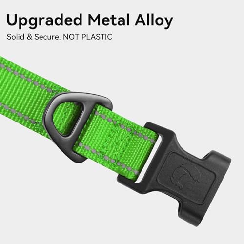 Joytale Reflective Dog Collar, Adjustable Neoprene Padded, Green S