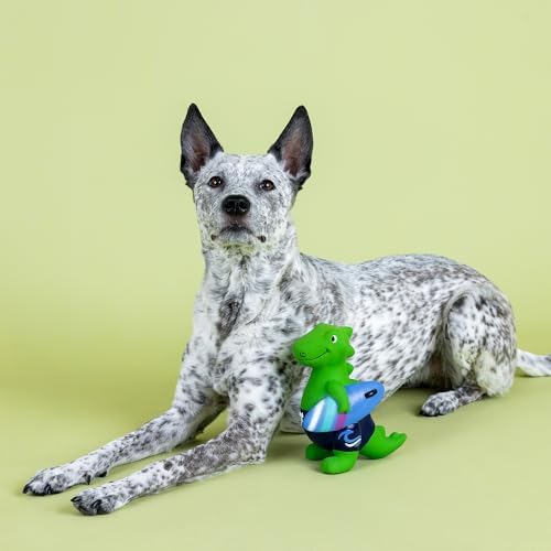 Fringe Studio Good Vibes, HIGH Tides Latex Dog Toy, Pet Shop Collection (366030)