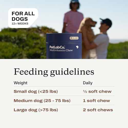 PetLab Co. 22-in-1 Multivitamin Chews, 2-Pack, Pork Flavor | 22 vitamins and minerals in one daily soft chew to support immune health, energy, skin, coat and overall wellbeing