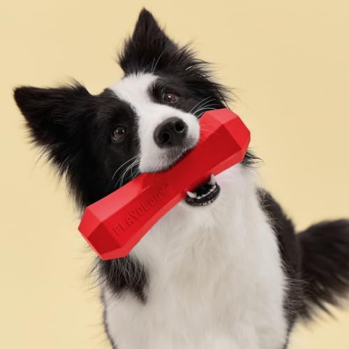 Playology Squeaky Chew Stick - Scented Dog Toy - Jumbo, Beef Scent | Rubber Construction, All Natural Scent, Durable Design