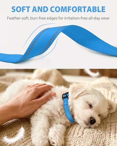 Joytale Feather-Light Dog Collar for Small & Medium Dogs, 3/4", Sky Blue