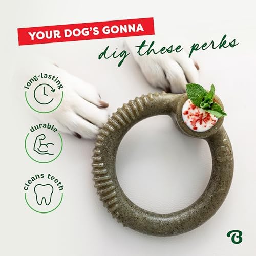 Benebone Peppermint Ring – Limited Edition Holiday Flavor, Durable Chew Toy for Aggressive Chewers, Made in USA, Small